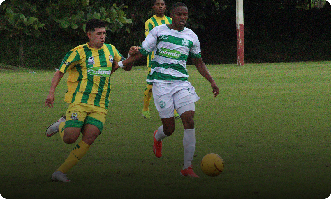 Post de prueba por Roman